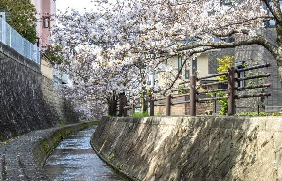 新堀川