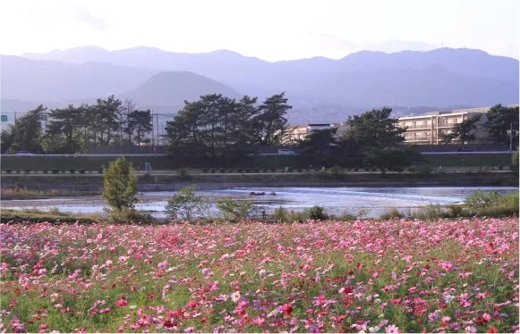 武庫川河川敷緑地