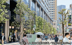 樹モール 川口銀座商店街