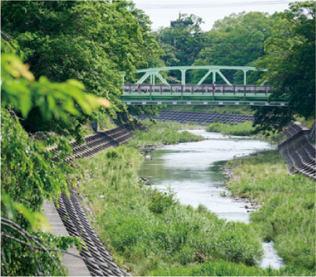 石手川緑地