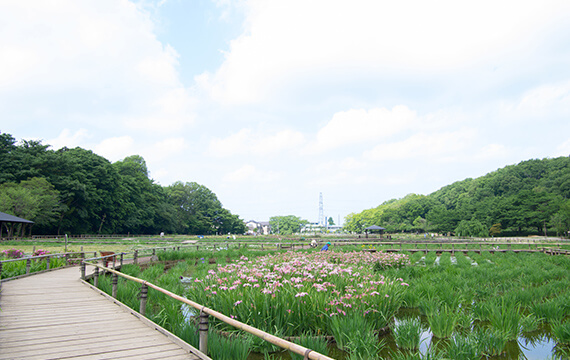 八国山緑地