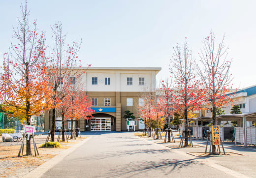 成章中学校