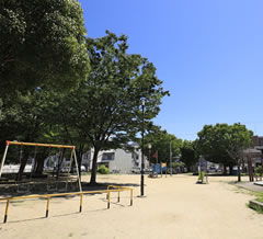 新高公園