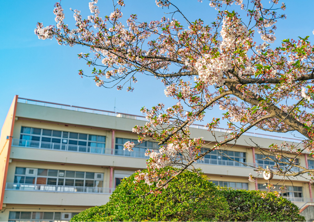 桜田小学校