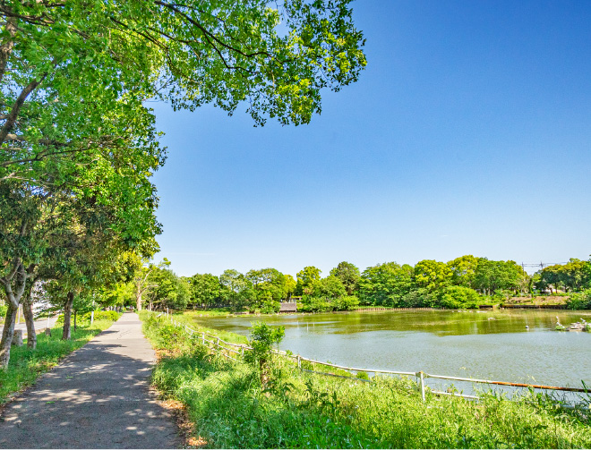 沼井公園