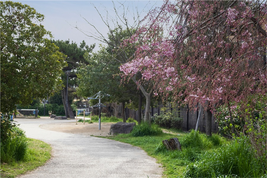 千石荘公園