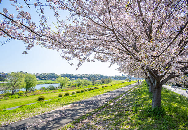 多摩沿線道路