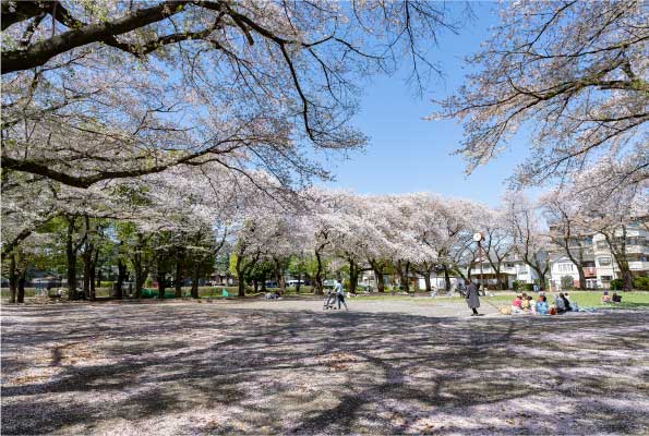 針ヶ谷中央公園