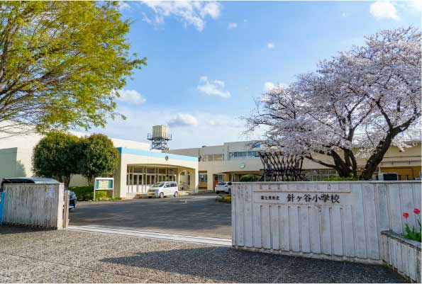 市立針ケ谷小学校