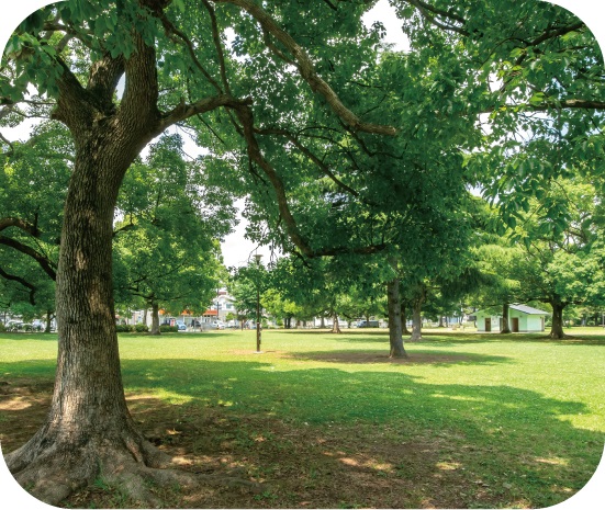 篠崎公園