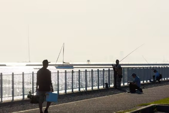 内港公園