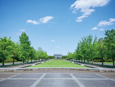GREEN SPRINGS