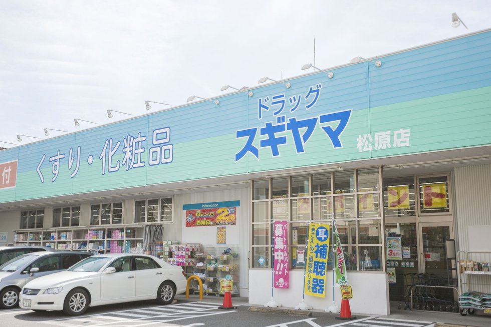 ドラッグスギヤマ 松原店