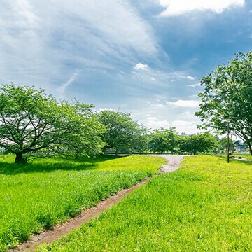 たけのこ公園