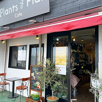 Plants Plan Cafe