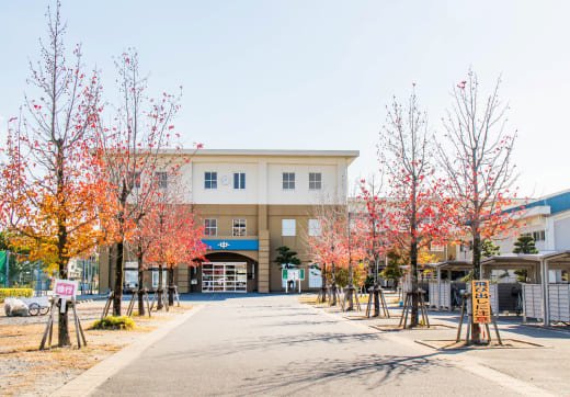 成章中学校