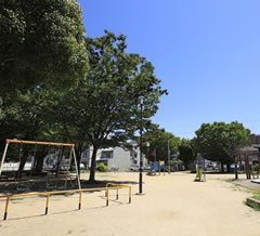 新高公園