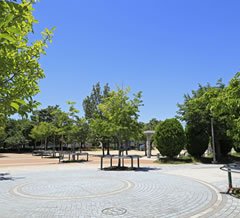 新高中央公園