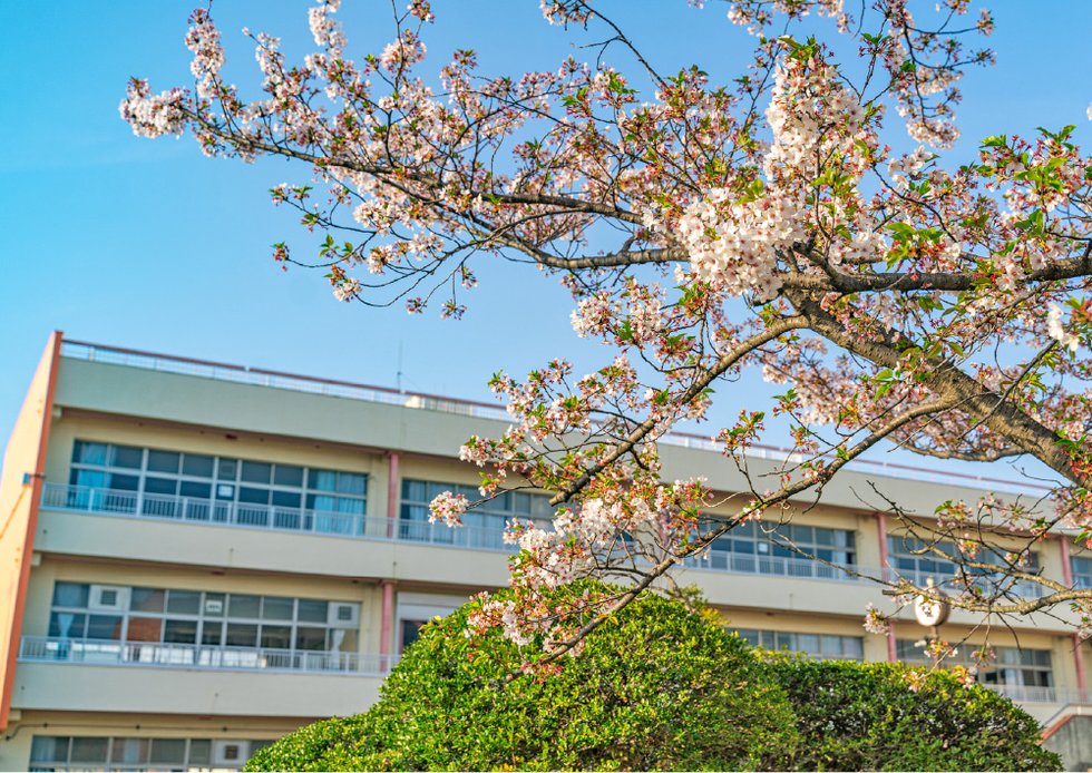 桜田小学校