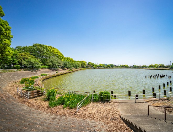 弦代公園