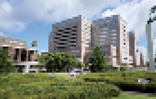 九州大学病院 <救急>