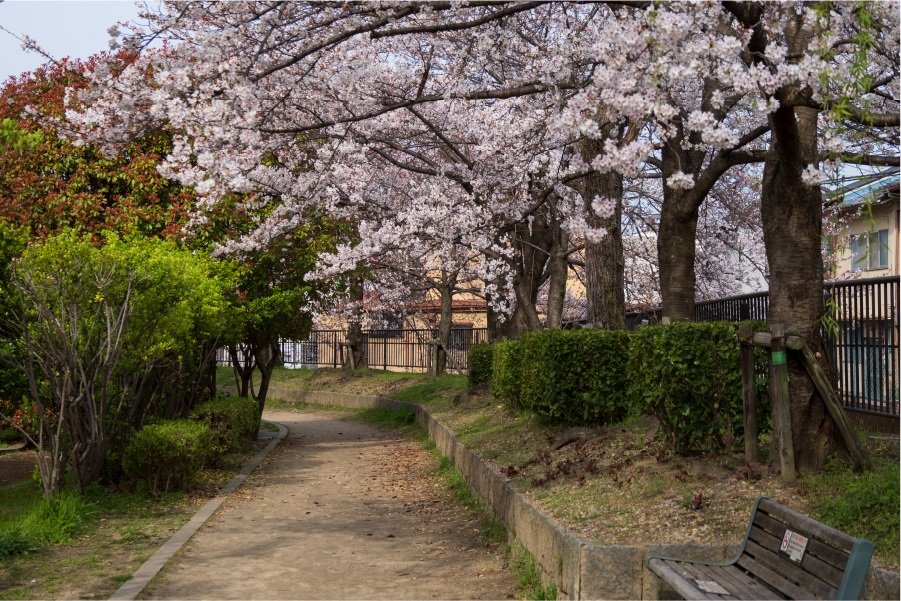太秦安井公園