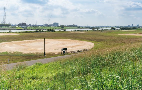 小岩緑地(江戸川グラウンド)