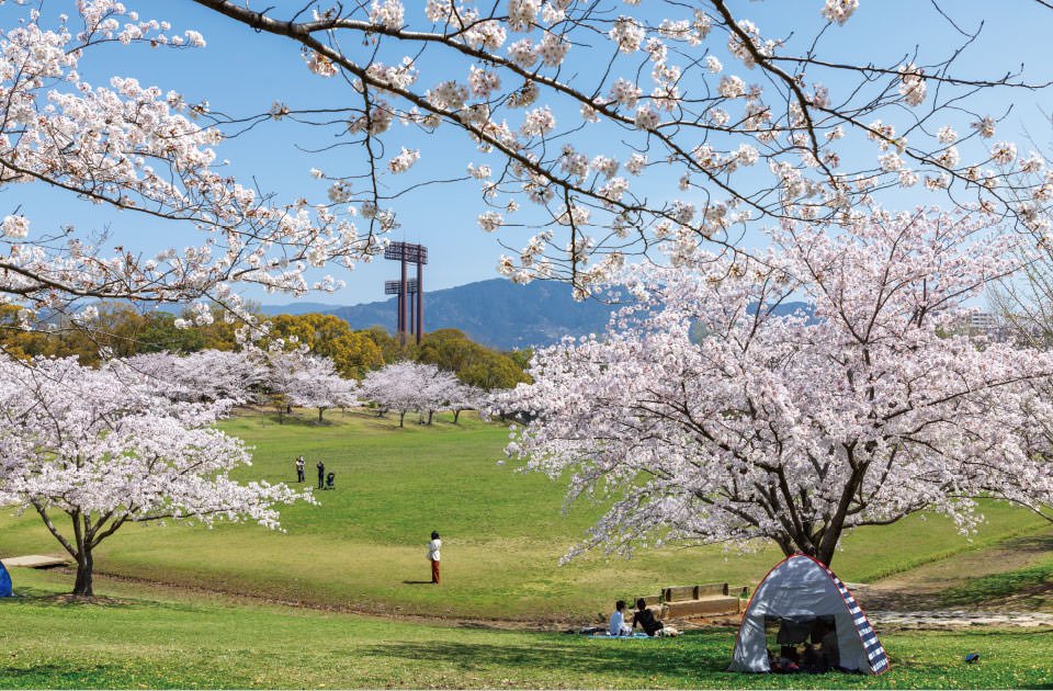 春日公園