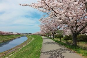 武庫川