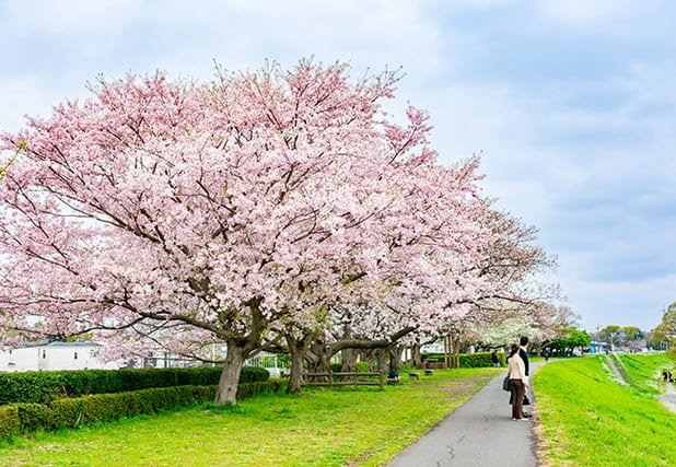 多摩沿線道路