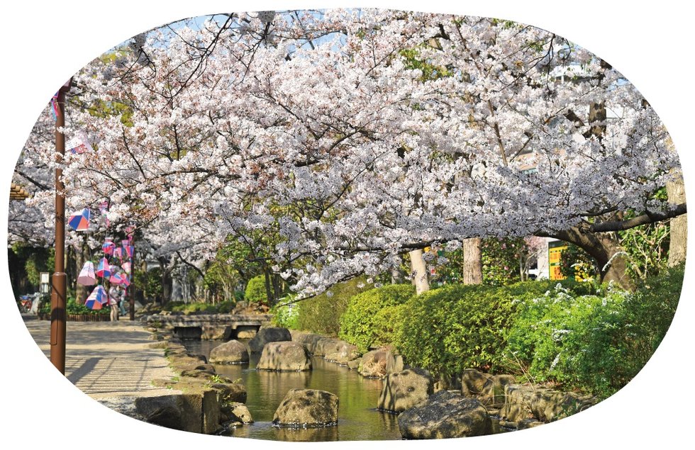 小松川境川親水公園