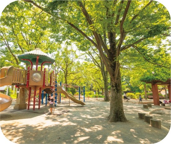 中央森林公園