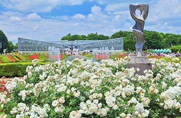 神代植物公園のバラ園
