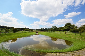 武蔵野の森公園(南地区)