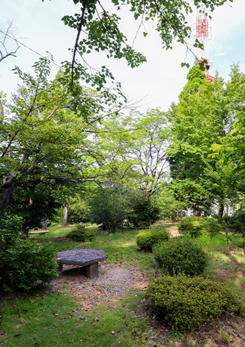 足羽山公園