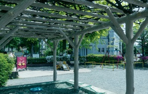 桐の木公園