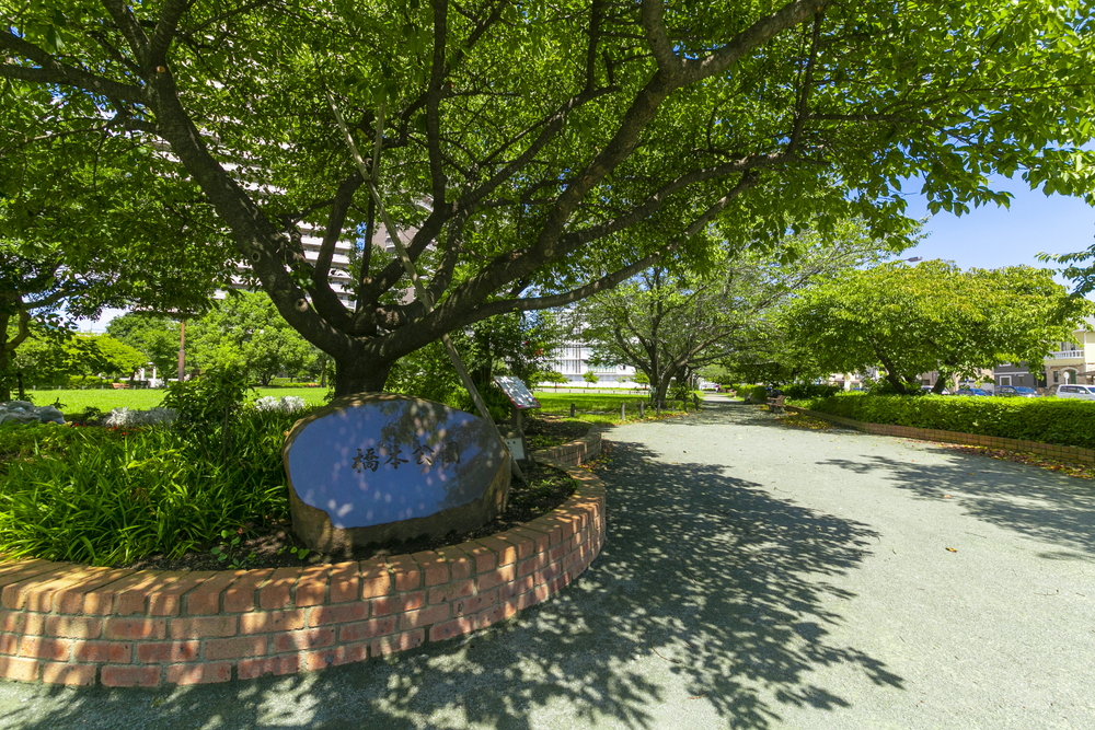 橋本公園