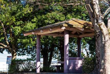 丸山公園
