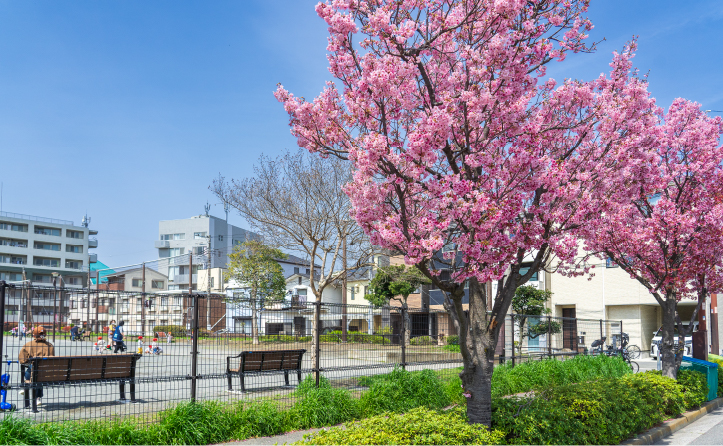 港南ふれあい公園