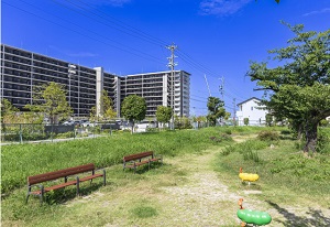津金公園