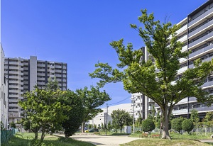 港明公園