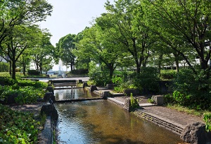 港北公園(港北運河横)