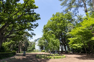大倉山公園