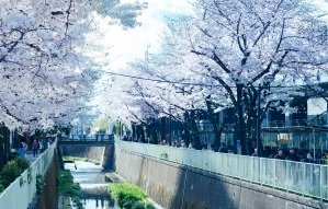 神田川