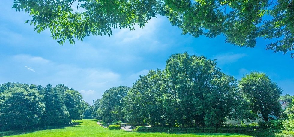 県立東高根森林公園