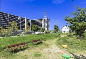 津金公園