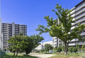 港明公園