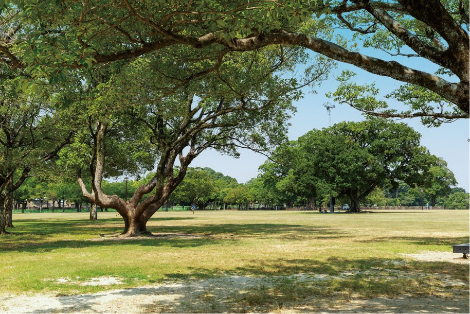 熊本城公園