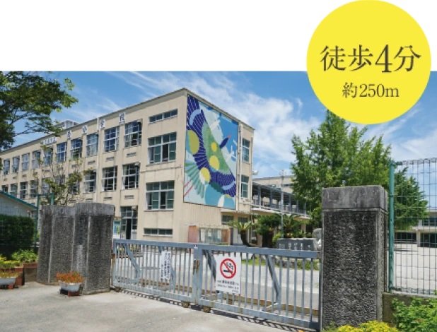 南小学校
