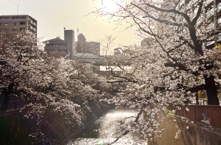 石神井川